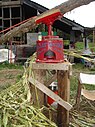 A horse-driven sorghum cane juicer at work in North Carolina