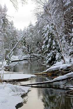 Oostriku jõgi