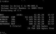 In 1981, Microsoft introduced the MS-DOS operating system, which would become the world's most widely used operating system in the 1980s and first half of the 1990s.