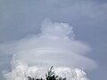 Cumulomimbus velum