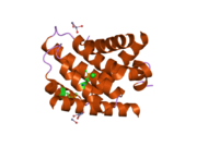 2nl9: Crystal structure of the Mcl-1:Bim BH3 complex