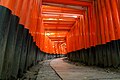 Fushimi inari tapınağı