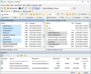 Screenshot WinSCP 6.1