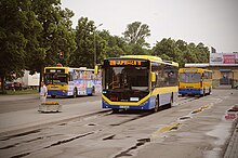 Fotografia przedstawia pętlę autobusową w Mościcach. na zdjęciu widać trzy miejskie autobusy, drogę oraz peron do wsiadania. W tle widać niski budynek i drzewa.