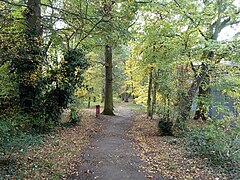 Path from Downderry Road to Moorside Road - geograph.org.uk - 5223018.jpg