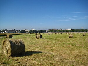 Fenaison sur la Prairie.