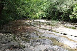 la Vézeronce près de la cascade à Surjoux-Lhopital