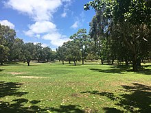 Grassed park with trees