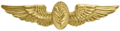 Navy Flight Nurse insignia