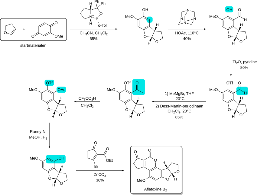 Een voorbeeld van een totaalsynthese: de synthese van aflatoxine B2 door G. Zhou en E.J. Corey uit 2005.[51] De synthese start met een convergente cycloadditie tussen twee eenvoudige startmaterialen. Door het toepassen van bekende reacties kan het moleculair skelet geleidelijk aan opgebouwd worden. De laatste stap bezit eveneens een mate van convergentie, aangezien twee ongeveer even grote bouwstenen gekoppeld worden. Voor de duidelijkheid zijn de plaatsen waar de transformaties plaatsgrijpen aangeduid in het blauw.