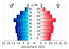 Bevolkingspiramide van de gemeente Gorinchem