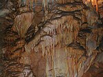 Parc national de Mammoth Cave