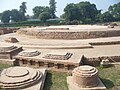 Dharmarajika Stupa