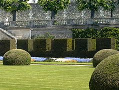 Art topiaire à Tours.