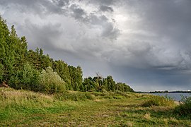 Forêt Vovdijenski.