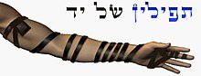 tefillin