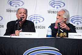 Cheech Marin & Tommy Chong (51985417199).jpg