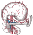 Ing celiac artery at ing kayang sanga; ing dungus mitas ya at ing peritoneum leko re.