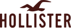 logo de Hollister (entreprise)