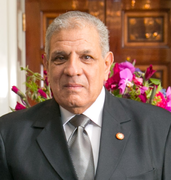 Ibrahim Mahlab Egypts statsminister (2014–2015)