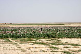 Nimroz Province