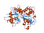 1n84: HUMAN SERUM TRANSFERRIN, N-LOBE