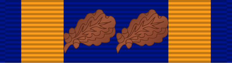 File:Air Medal ribbon, 3rd USAF award.svg