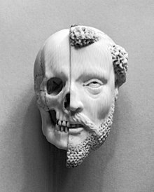 Ivory pendant of a Monk's face. The left half of the pendant appears skeletal, while the right half appears living