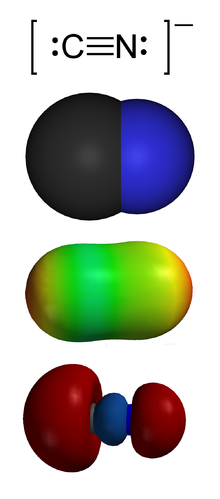 Space-filling model of the cyanide anion: carbon bound to smaller nitrogen atom