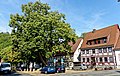 Bergstadtlinde im ehemaligen Ortszentrum (im Juli 2023 bei einem Unwetter abgebrochen)