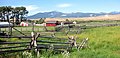 Grant-Kohrs Ranch National Historic Site.