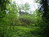 The ruins of Blaenllyfni Castle