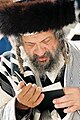 Rebbe in preghiera, con peot a boccolo