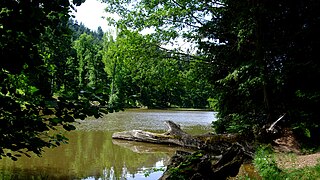 Le lac et l'Arboretum de Pézanin.