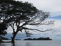 Lag Kokibolca (Lago Kokibolca)