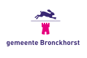 Flagge der Gemeinde Bronckhorst