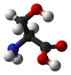 ▵ Molecuulmodel van L-serine