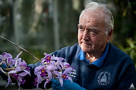 One of the gardeners that maintain the plants.