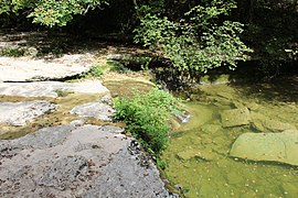 la Vézeronce près de la Cascade du Pain de sucre de Surjoux à Surjoux-Lhopital