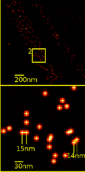 Super-resolution microscopy: Single YFP molecule detection in a human cancer cell. Typical distance measurements in the 15 nm range measured with a Vertico-SMI/SPDMphymod microscope