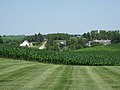 Image 23Central Iowa cornfield and dairy in June (from Iowa)