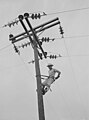 Image 63A Rural Electrification Administration lineman at work in Hayti, Missouri in 1942. (from History of Missouri)