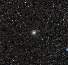 A small fuzzy white ball in the center of a speckled black backdrop