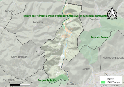 Carte des ZNIEFF de type 1 sur la commune.