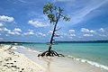 Beach on Havelock Island