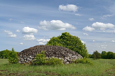 Näljakangur