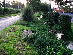 La Vimeuse à Maisnières.