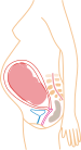 8. měsíc