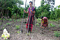 Image 36Brao couple farming (from Culture of Laos)