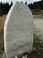 Statuenmenhir de Salverguettes, Département Hérault